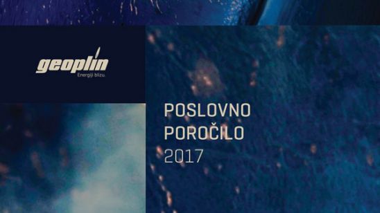 Poslovno poročilo, 2017