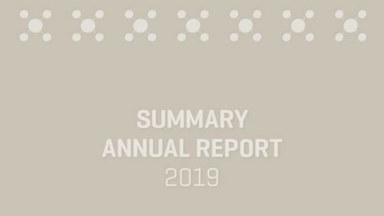 Summary Annual Report, 2019