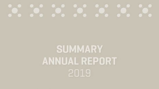 Summary Annual Report, 2019
