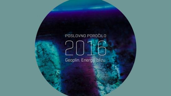 Poslovno poročilo, 2016