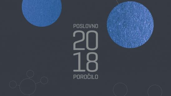Poslovno poročilo, 2018