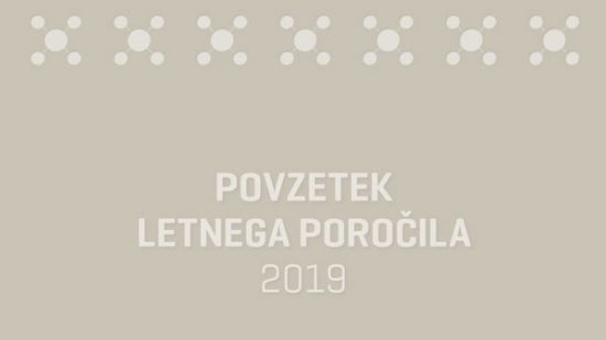 Povzetek poslovnega poročila, 2019